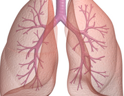 Ventilatie-/perfusiescintigrafie bij chronische trombo-embolische pulmonale hypertensie